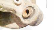 Achsschenkel Radnabe - Hinten Linke Honda Civic, 2006,01 - 2011.01 Gebraucht,