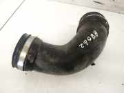 Schlauch für Luftversorgung Renault Scenic, II 2003.06 - 2006.06 820020161,