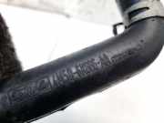 Entlüftungsschlauch Kraftstoffbehälter Ford C-MAX, 2003.01 - 2007.06 4M5Q6K666AA, 4M5Q-6K666-AA