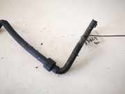 Kühlerschlauch Skoda Octavia, II 2004.02 - 2009.03 Gebraucht,