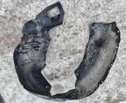 Radhausschale - Vorne Rechts Lexus RX, 2000.07 - 2003.05 5387548011,53875-48011 353