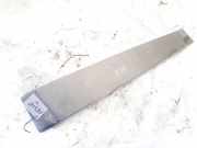 Schutzleiste Tür - Vorne Linke Renault Scenic, II 2003.06 - 2006.06 8200139600,