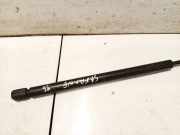 Gasfeder für Motorhaube Renault Safrane, 1992.04 - 1996.07 7700812193, 6751050253n