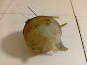 Ausgleichsbehälter Ford Transit, III 2006.04 - 2012.12 facelift 6C118K218A6, 6C11-8K218-A6 N04011A100