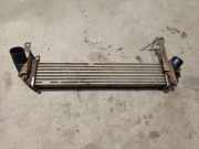 Ladeluftkühler Renault Kangoo, 2003.05 - 2007.06 8200221885A, 8200 221 885 A