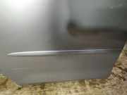 Zierleiste Tür Zier-Schutzleiste - Hinten Rechts Mazda 2, DY 2003.02 - 2007.10 Gebraucht,