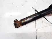 Stoßdämpfer - Hinten Rechts BMW X5, E53 facelift 2004 - 2006 Gebraucht,