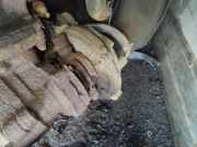 Turbolader Peugeot 307, 2000.08 - 2005.06 9645247080,