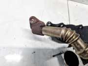 Rohrleitung AGR-Ventil Chevrolet Captiva, 2006.01 - 2011.06 Gebraucht,
