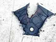 Abdeckung für Zahnriemen Mercury Cougar, VIII 1998.01 - 2002.12 f53e6d080ah, f53e-6d080-ah