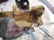 Scheibenwaschbeh?lter Vorne Wischwasserbeh?lter Mitsubishi Grandis, I 2004.01 - 2009.12 Gebraucht,