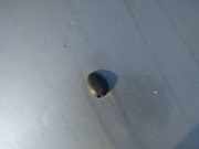 Waschwasserdüse Scheibenreinigung Nissan X-Trail, 2001.06 - 2007.06 Gebraucht,