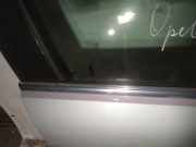 Zierleiste Leiste - Vorne Rechts Opel Insignia A, 2008.01 - 2013.01 Gebraucht,