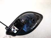 Türinnengriff - Hinten Linke Renault Laguna, II 2001.03 - 2006.05 8200000723,