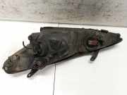 Hauptscheinwerfer - Vorne Rechts Toyota Previa, 2000.02 - 2006.01 Gebraucht,