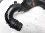 Intercooler Schlauch Volkswagen Bora, 1998.01 - 2005.12 PX0446037, ALH