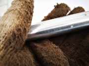 Gasdruckfeder Kofferraum Volkswagen Bora, 1998.01 - 2005.12 1j0823359c, AJM