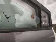 Zierleiste Leiste - Vorne Rechts Ford Focus, 2011.04 - 2018 Gebraucht,