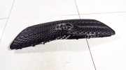 Kühlergrill Frontgrill Kühlergitter Toyota Corolla, 2001.11 - 2004.02 5311102150, 30580010 53111-02150