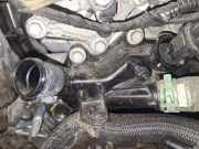 Thermostat Renault Clio, 2012.11 - 2016 Gebraucht,