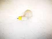 Innenraumleuchte Nissan Primera, P12 2002.01 - 2008.12 Gebraucht,