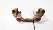 Bremssattelträger - Hinten Rechts Ford C-MAX, 2003.01 - 2007.06 Gebraucht,