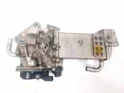 Abgaskühler AGR-Kühler Volkswagen Transporter, T5 2009.11 - 2014.12 facelift 29026381, 29041284 CCHA