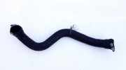 Intercooler Schlauch Renault Scenic, II 2003.06 - 2006.06 Gebraucht,