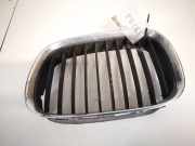 Kühlergrill Frontgrill Kühlergitter BMW 5-Series, E39 1995.11 - 2003.06 81593150,81845319
