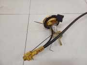 Kraftstoffpumpe BMW 3-Series, E46 2002.06 - 2005.02 facelift 221824065006, 221 824 065 006 6 752 054 6752054