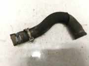 Kühlerschlauch Citroen Berlingo, II 2008.04 - 2018 Gebraucht,