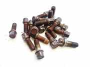 Radbolzen- Radmutter Audi A6, C6 2005.01 - 2008.10 Gebraucht,