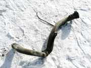 Tankeinf?llstutzen Tankrohr Kraftstoffrohr Lancia Phedra 2002 - 2006 Gebraucht,