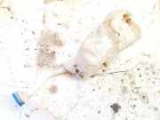 Scheibenwaschbehälter Vorne Wischwasserbehälter Volkswagen Sharan, 7M 1995.09 - 2000.04 7m0955453m, 95vw17618ad