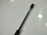 Gasfeder für Motorhaube Volkswagen Golf, V 2003.10 - 2008.10 Gebraucht , BXE