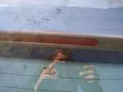 Zusatzbremsleuchte Peugeot 206, 1998.08 - 2002.07 Gebraucht,