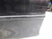 Zierleiste T?r Zier-Schutzleiste - Vorne Linke Jaguar X-Type, 2001.06 - 2007.11 Gebraucht,