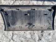 Zierleiste T?r Zier-Schutzleiste - Vorne Rechts Iveco Daily, 2006.01 - 2011.06 504090267,504099763