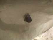 Waschwasserdüse Scheibenreinigung Fiat Sedici 2005 - 2009 Gebraucht,