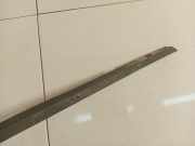 Zierleiste Leiste - Vorne Rechts Volkswagen Passat, B5 1996.08 - 2000.11 Gebraucht , AFN