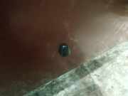 Waschwasserd?se Scheibenreinigung Hyundai Santa Fe, 2000.11 - 2006.03 Gebraucht,