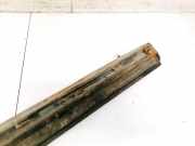 Zierleiste Tür Zier-Schutzleiste - Hinten Linke Audi A4, B6 2000.11 - 2004.11 Gebraucht ,