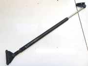 Gasdruckfeder Kofferraum Toyota Picnic, I 1996.01 - 2002.12 L6896044010,L68960-44010 6896044010 68960-44010