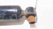 Stoßdämpfer - Hinten Linke Renault Laguna, I 1994.01 - 2001.03 20551395,