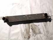 Ladeluftkühler Opel Meriva, A 2002.12 - 2006.01 52401015, wtp7749