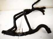 Kühlerschlauch Renault Scenic, I 1999.09 - 2003.06 facelift Gebraucht,