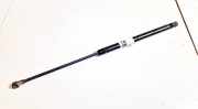 Gasdruckfeder Kofferraum Volkswagen Passat, B5 1996.08 - 2000.11 ml5132, AFN