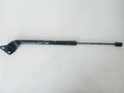 Gasdruckfeder Kofferraum Chevrolet Captiva, 2006.01 - 2011.06 96830124,