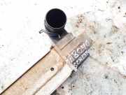 Ladeluftkühler Kia Sorento, I 2002.01 - 2009.06 281904a160, 28190-4a160