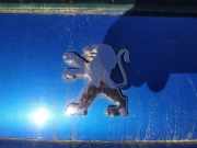 Emblem Peugeot 206, 2002.07 - 2009.01 facelift Gebraucht,